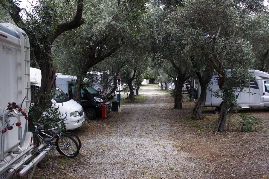 Camping  Internazionale La Playa  – photo 14