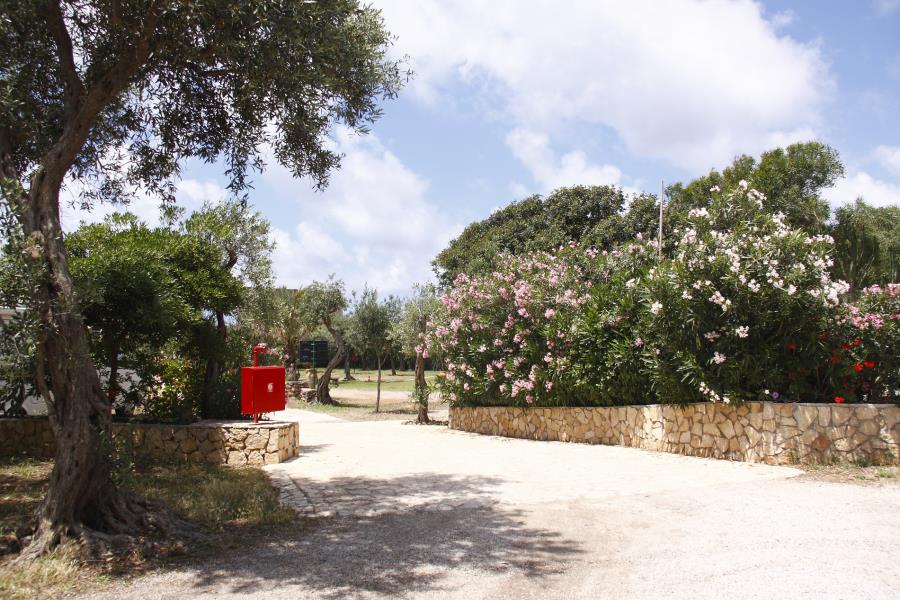 Camping  Internazionale La Playa  – photo 16