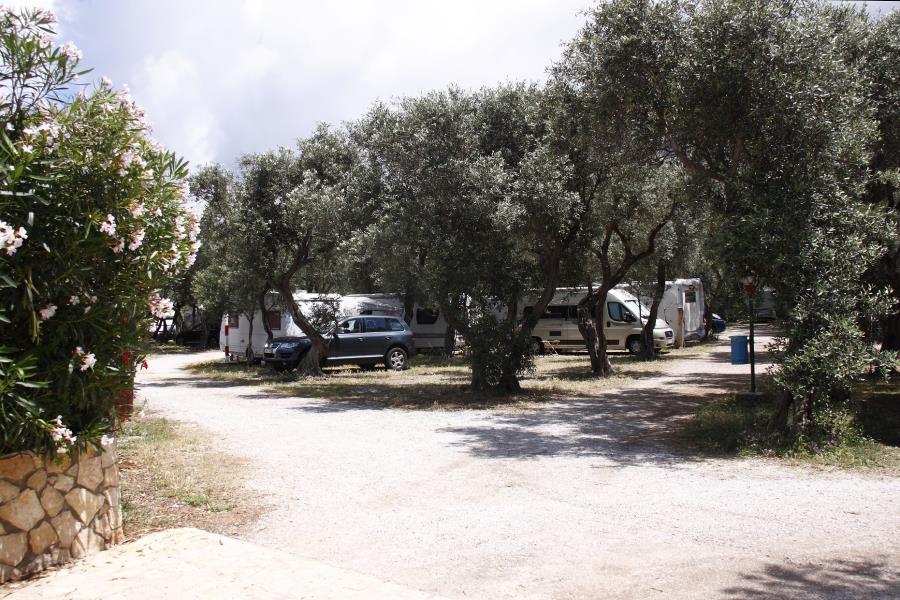 Camping  Internazionale La Playa  – photo 17