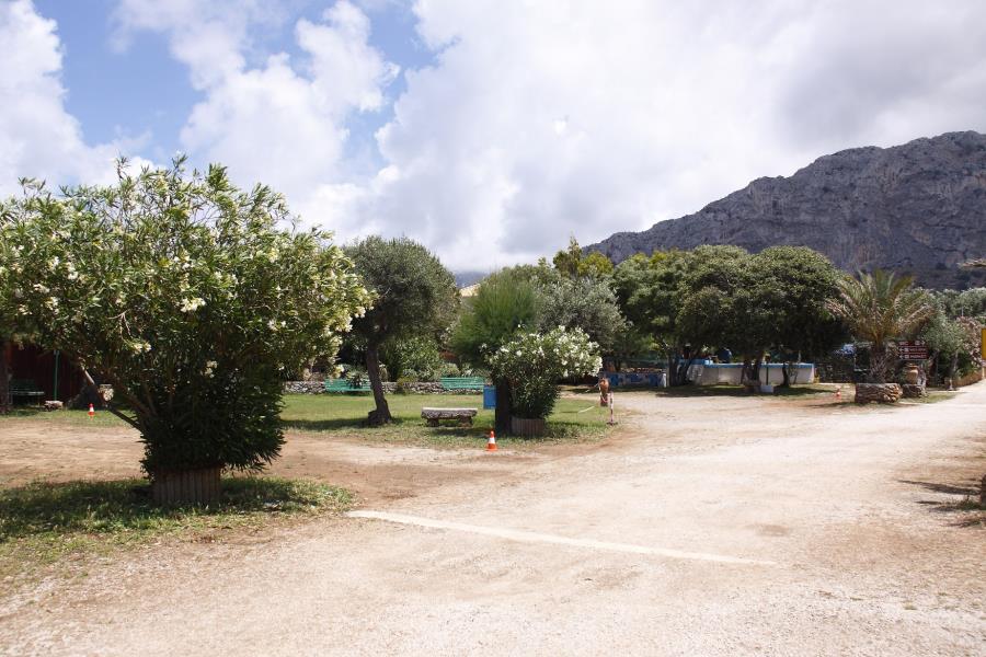 Camping  Internazionale La Playa  – photo 18