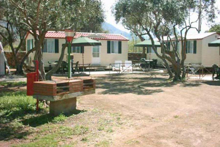 Camping  Internazionale La Playa  – photo 1