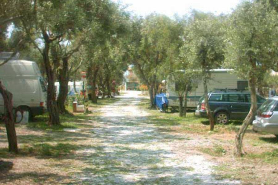 Camping  Internazionale La Playa  – photo 2
