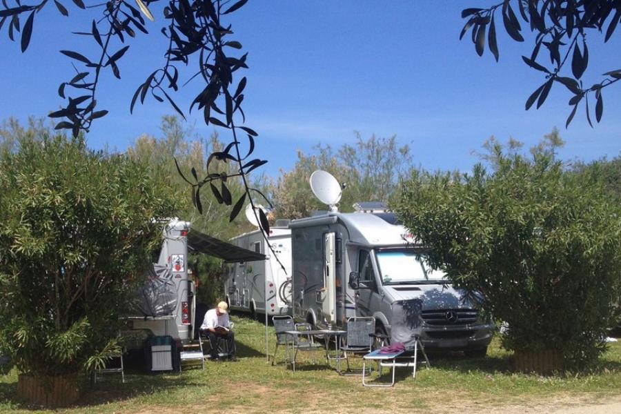 Camping  Internazionale La Playa  – photo 3