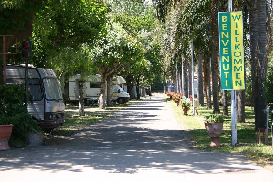 Camping Mokambo  – photo 16