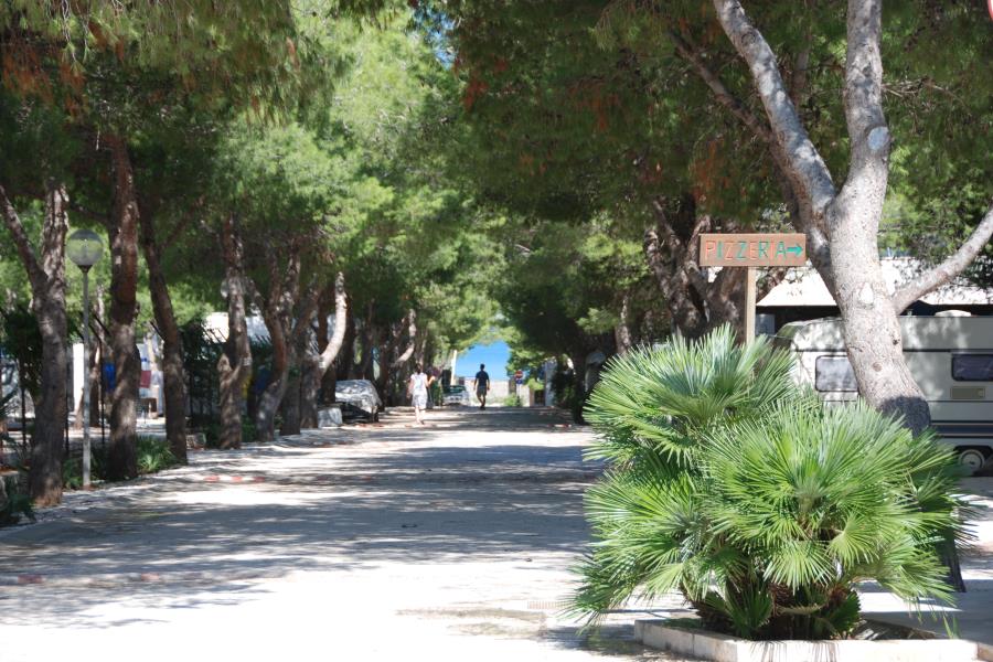 Camping Village La Pineta – foto 2
