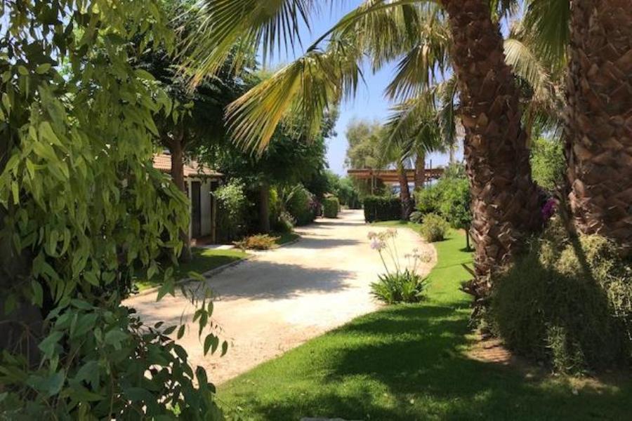 Camping Scarabeo  – foto 13
