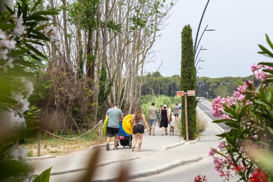 hu Park Albatros village – photo 15