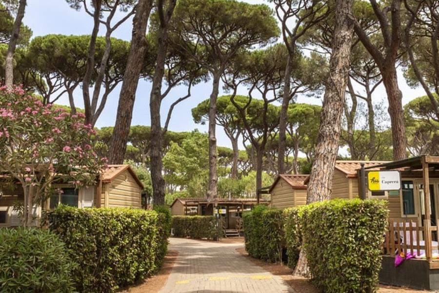 hu Park Albatros village – photo 18