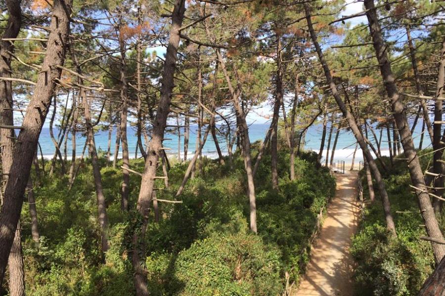Campeggio Baia Verde  – Foto 6