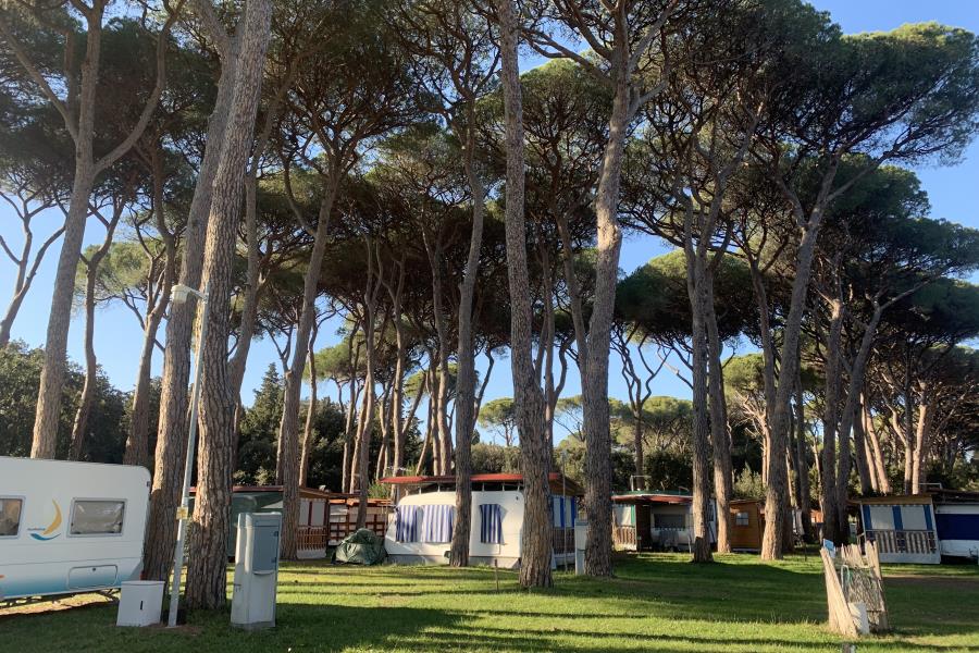 Campeggio Bocca di Cecina  – foto 16
