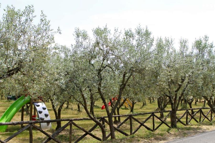 Camping Boschetto di Piemma  – Foto 4