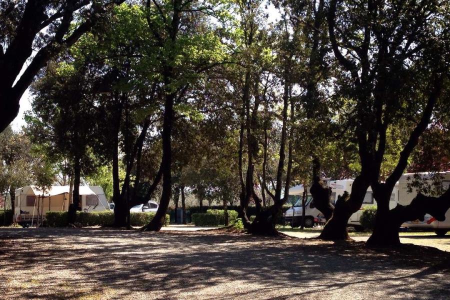 Camping Boschetto di Piemma  – Foto 5