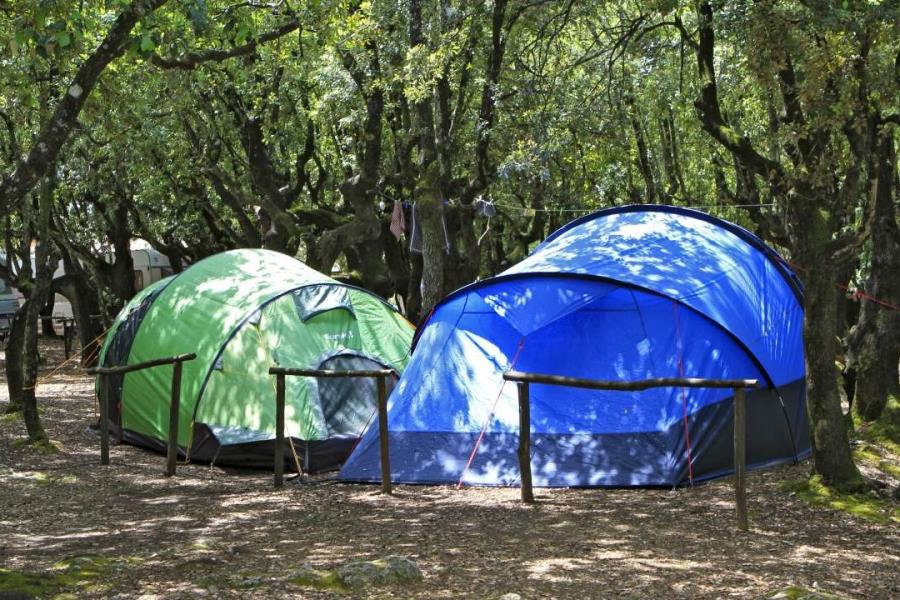 Camping Boschetto di Piemma  – Foto 6