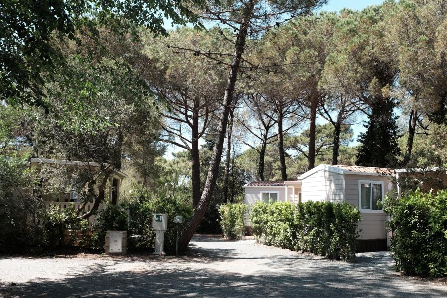 Campeggio Casa di Caccia  – Foto 13