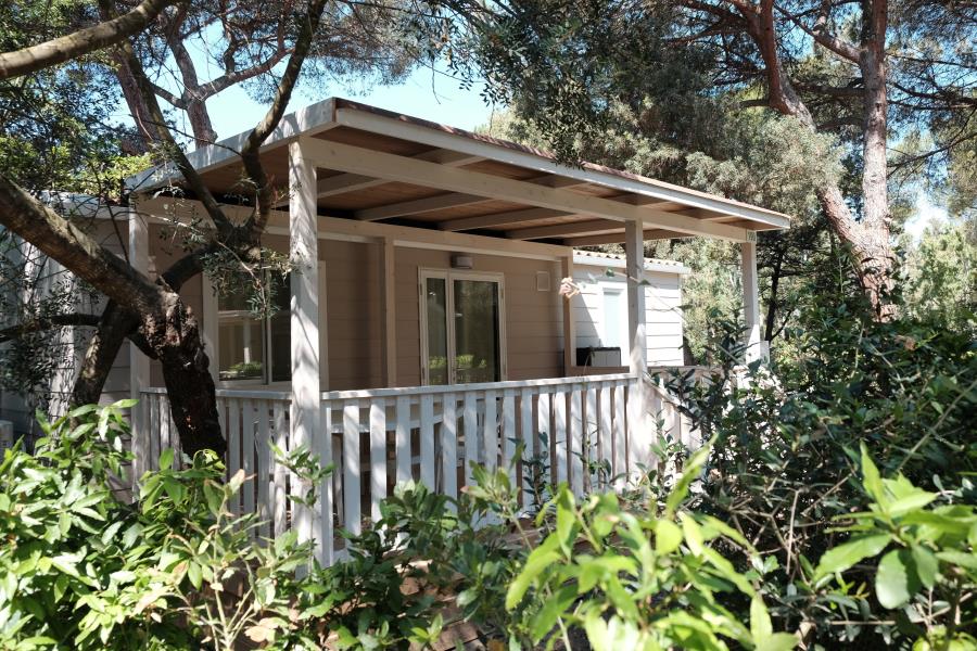 Campeggio Casa di Caccia  – Foto 4