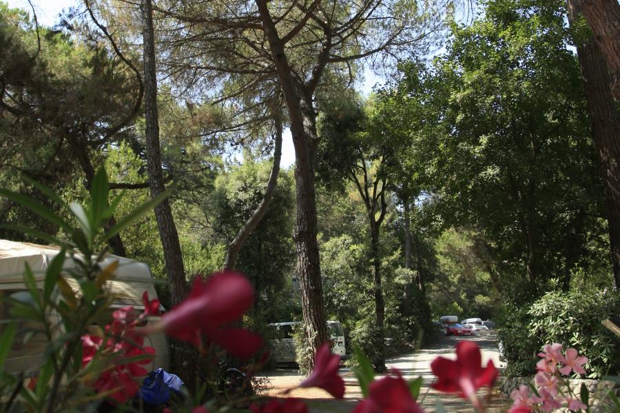 Campeggio Casa di Caccia  – Foto 6