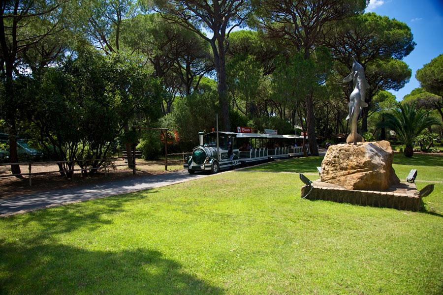 Camping Village Cieloverde  – foto 5