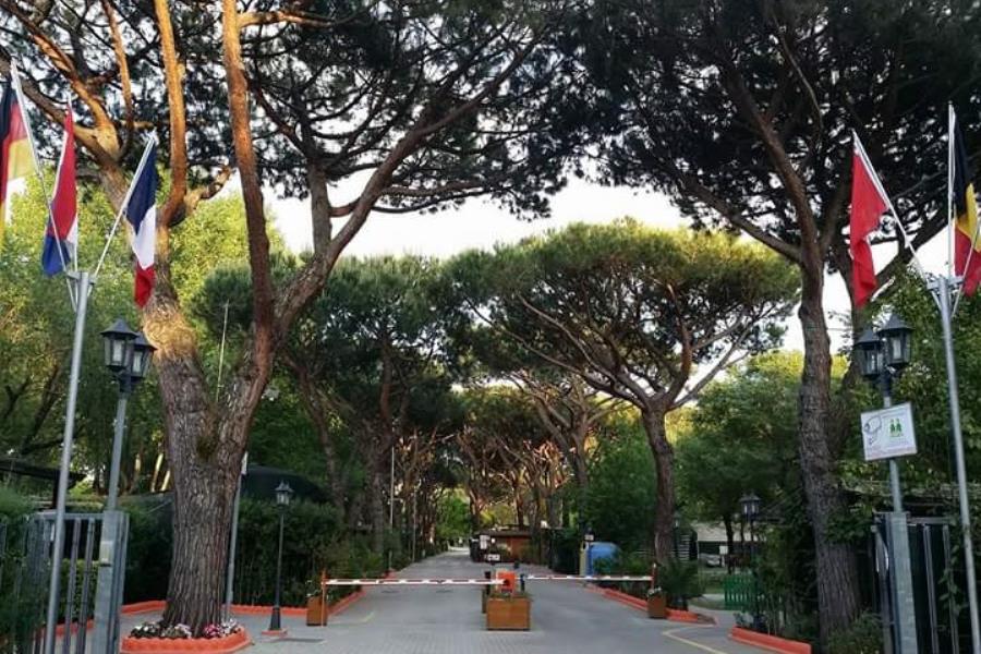 Camping Dal Pino  – foto 3