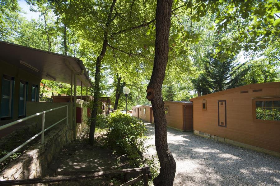 Firenze Certosa Camping – foto 2
