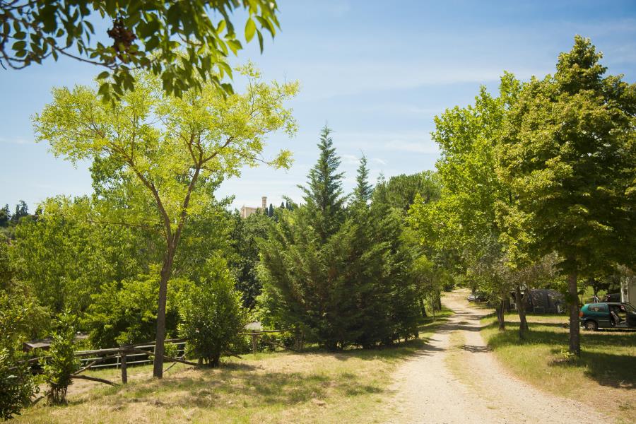 Firenze Certosa Camping – foto 3