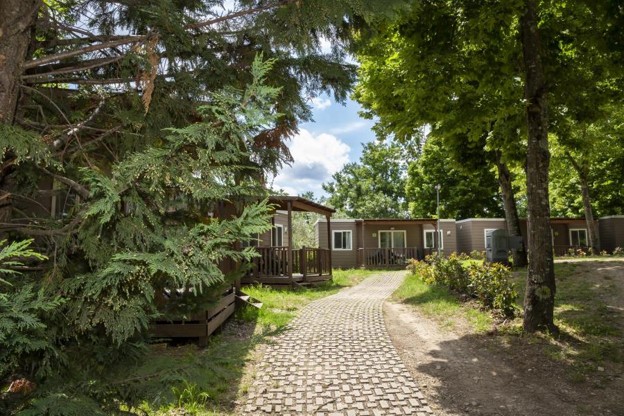 Firenze Certosa Camping – foto 18