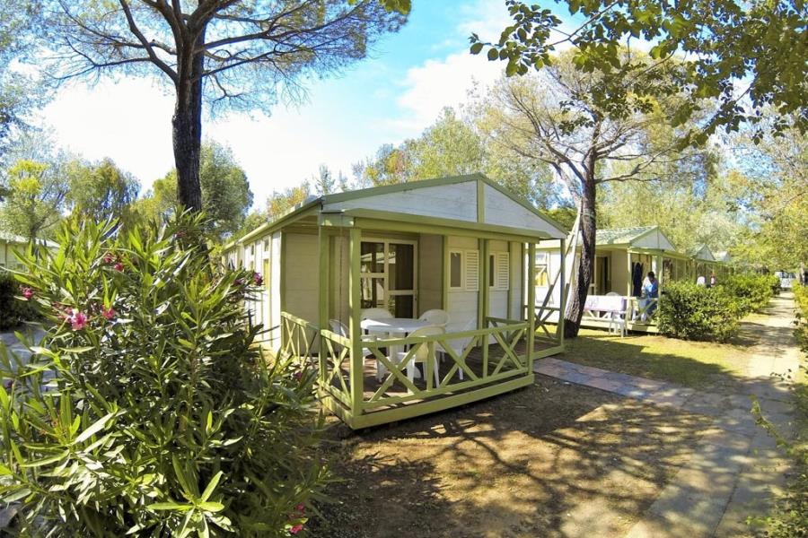 Camping Free Beach  – photo 9