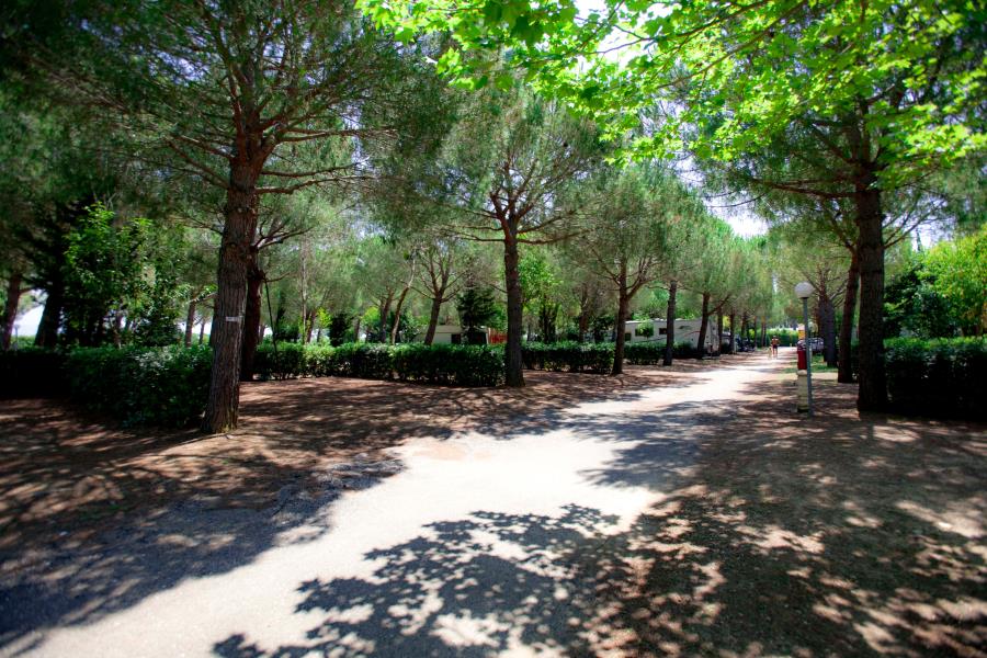 Camping delle Gorette  – foto 3