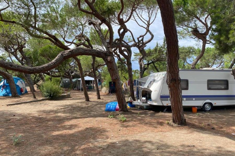 Camping Il Capannino  – foto 3