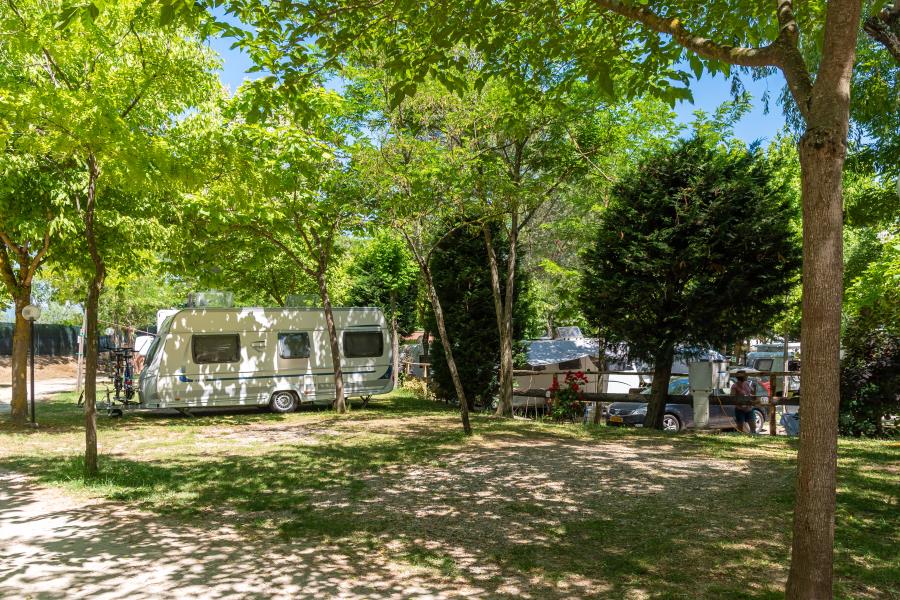 Camping Village Il Poggetto  – Foto 9