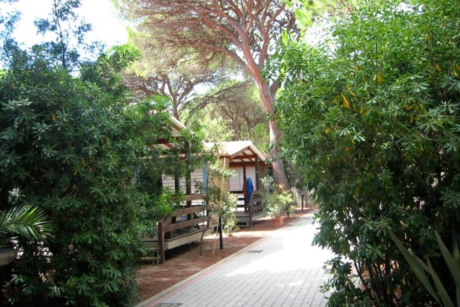Camping Village Il Sole  – photo 4