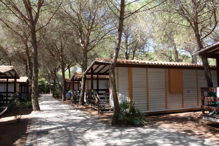 Camping Village Il Sole  – photo 5
