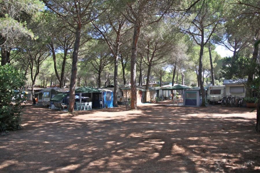 Camping Village Il Sole  – photo 6