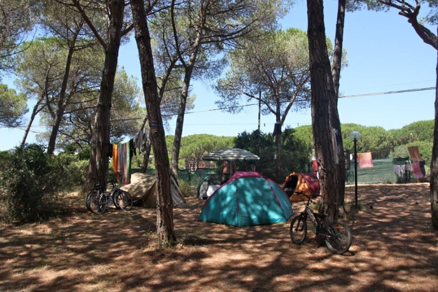 Camping Village Il Sole  – photo 8