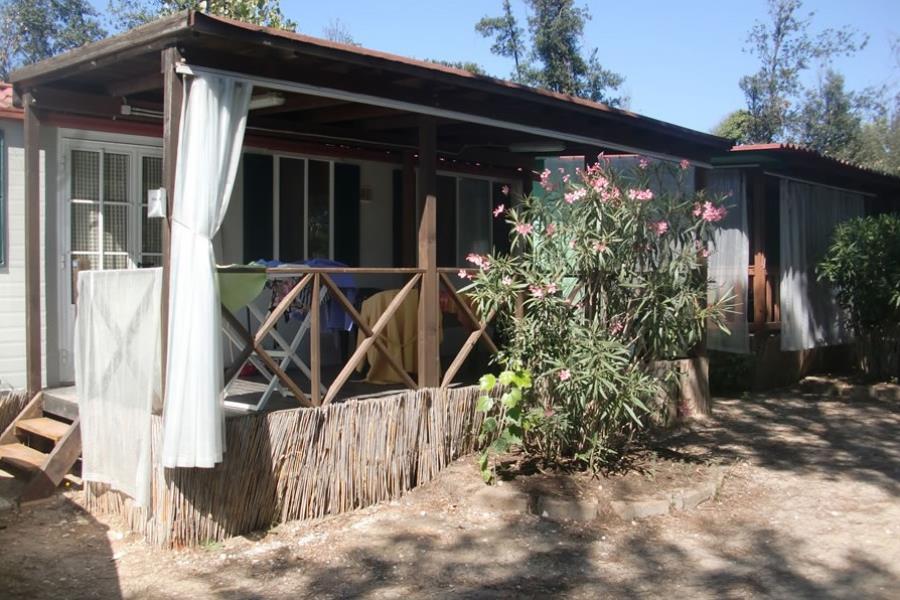 Camping Internazionale – photo 2