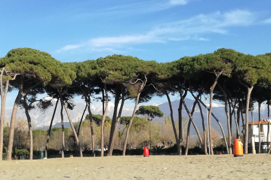 Campeggio Italia  – foto 17