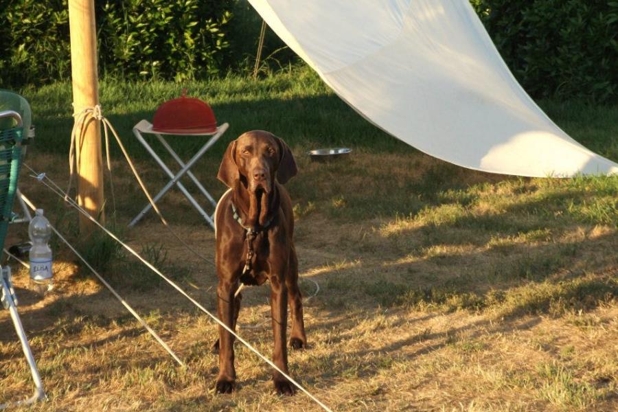 Agriturismo Lago Le Tamerici  – foto 6