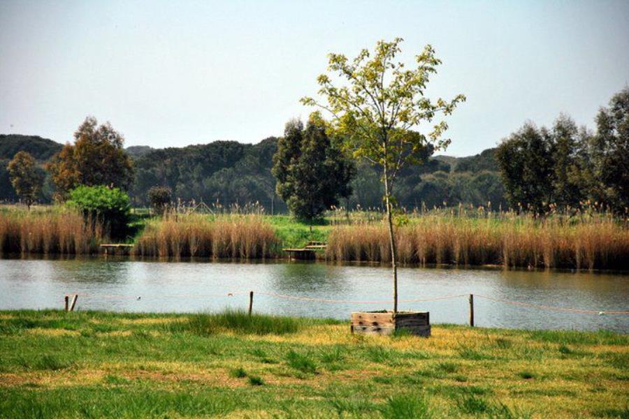 Agriturismo Lago Le Tamerici  – foto 9