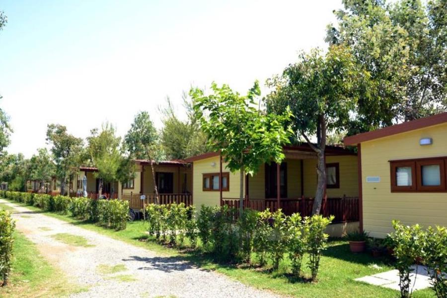 Camping Le Palme  – Foto 4