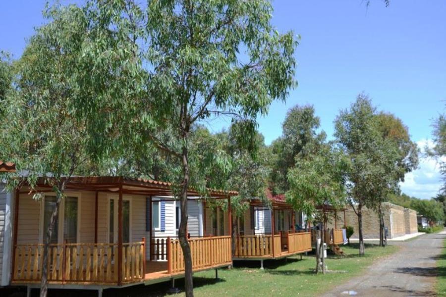 Camping Le Palme  – Foto 6
