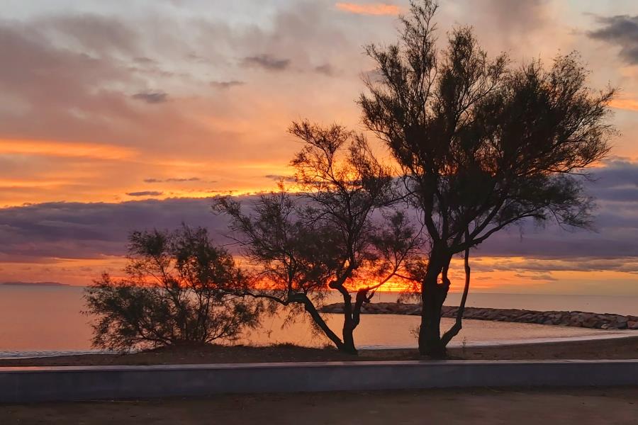 New Camping Le Tamerici – foto 6
