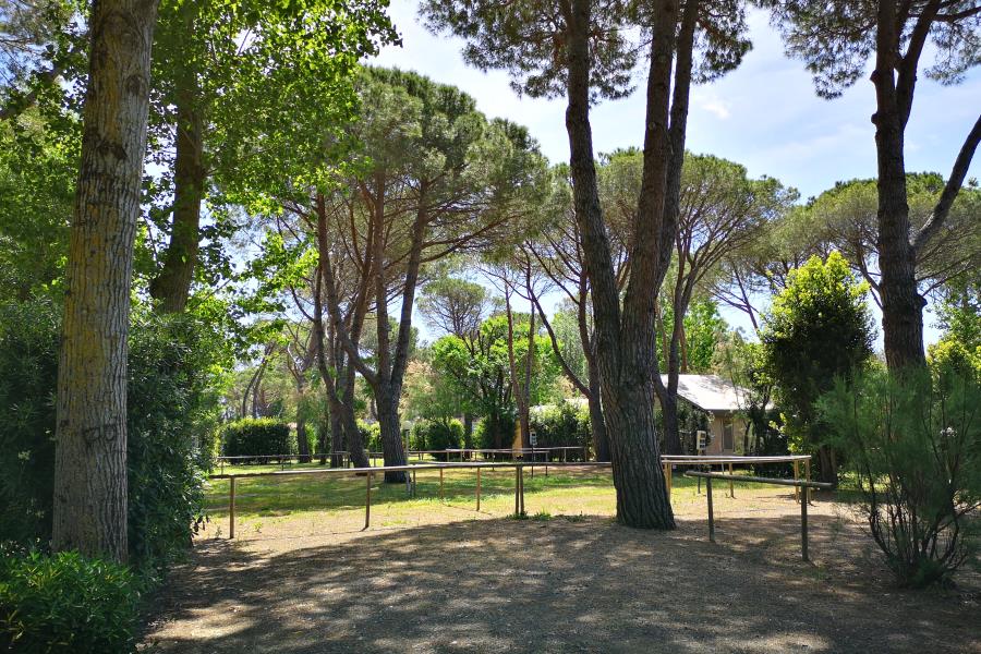 New Camping Le Tamerici – foto 7