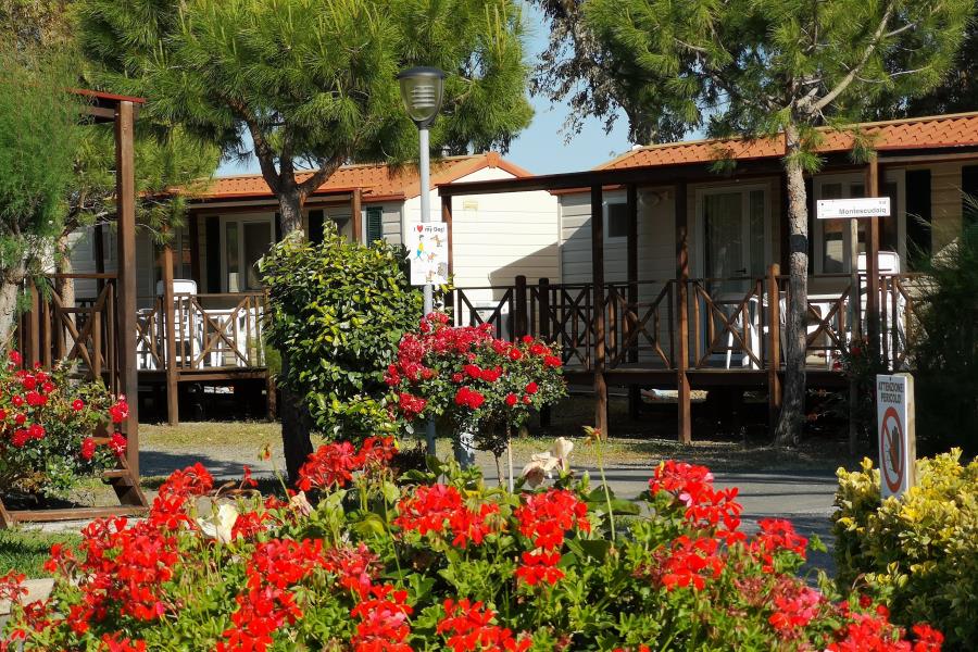 New Camping Le Tamerici – foto 8