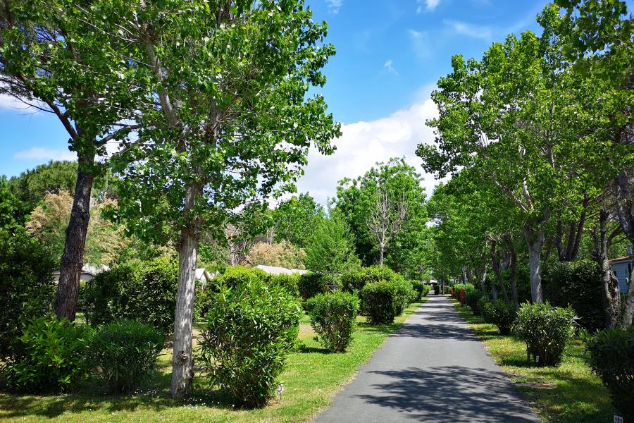 New Camping Le Tamerici – foto 11