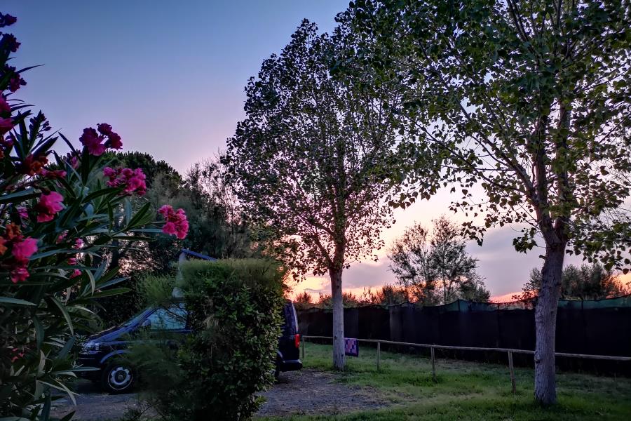 New Camping Le Tamerici – foto 12
