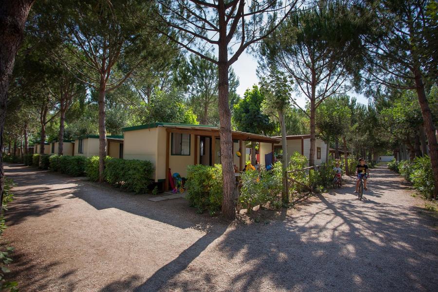 Camping Village Mareblu  – photo 6