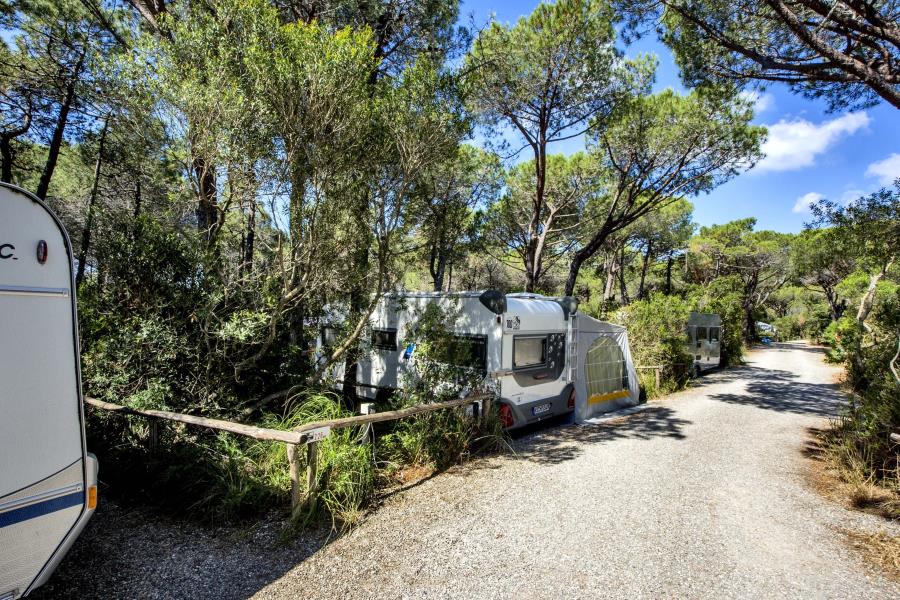 Camping Maremma Sans Souci  – foto 2
