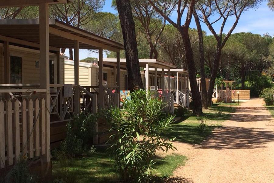 Camping I Melograni  – Foto 3