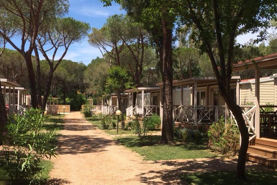 Camping I Melograni  – Foto 4