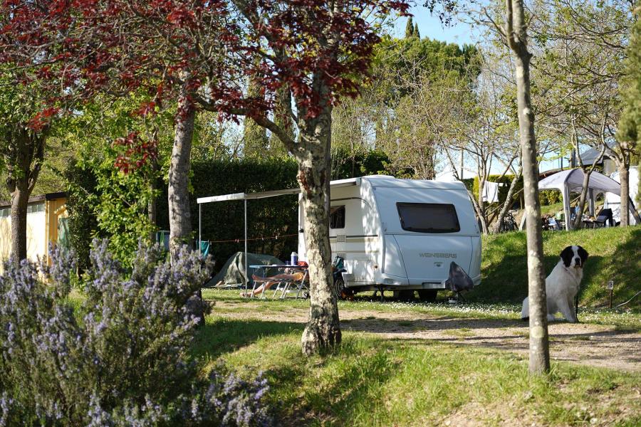 Camping Panorama del Chianti  – photo 7