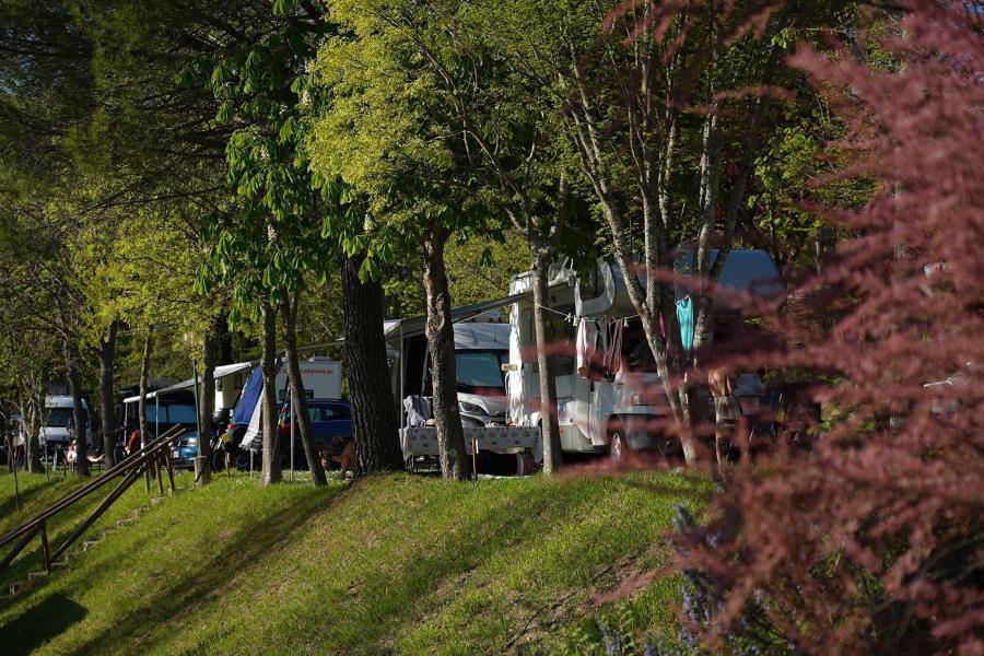 Camping Panorama del Chianti  – photo 9